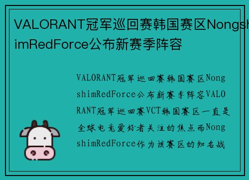 VALORANT冠军巡回赛韩国赛区NongshimRedForce公布新赛季阵容